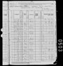 1880 US Census M L Burris