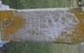 1892 Headstone John Hamilton MD 1