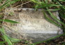 1894 HeadstoneThomas Wilson Fischer