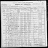 1900 US Census Brittie Arnold
