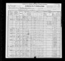 1900 US Census Theodore Brabham